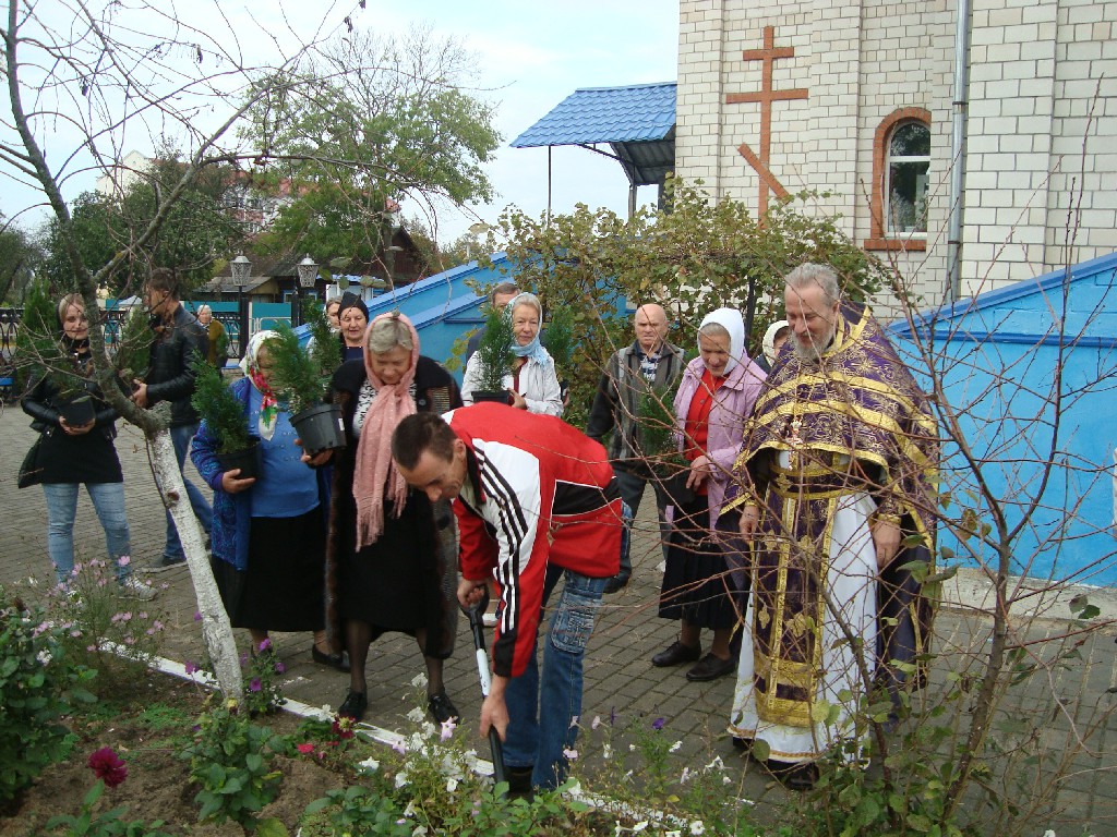 Акция ко Дню пожилого человека